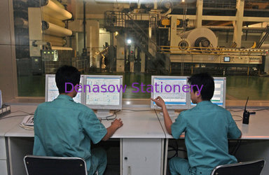 Qingdao Denasow Enterprise Co., Ltd.