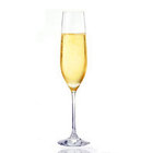 Plastic Champagne Flutes/Plastic Champagne Glasses / Plastic Champagne Cups