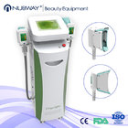 Vacuum 10.4 Inch Cryolipolysis Fat Freeze Body Slimming Machine AC 220V For Beautician