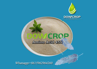 China Amino Acid Powder 45% - ANIMAL SOURCE supplier
