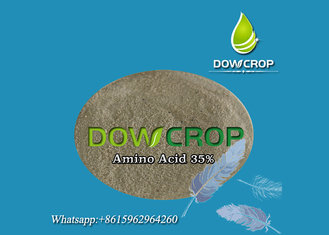 China Amino Acid Powder 35% - ANIMAL SOURCE supplier
