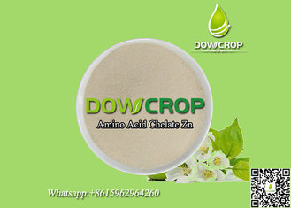 China Amino Acid Chelated Zinc Powder supplier