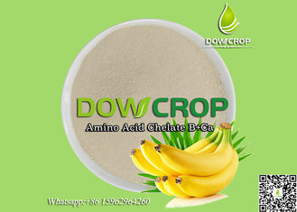 China Amino Acid Chelated Boron+Calcium Powder supplier