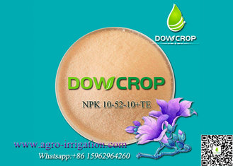 China 100% WATER SOLUBLE NPK 10-52-10 + TE supplier