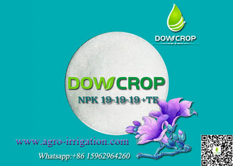 China DOWCROP AGRICULTURE USE 100% WATER SOLUBLE BALANCE FORMULA COMPOUND NPK 19-19-19 WITH TRACE ELEMENTS CRYSTAL POWDER supplier