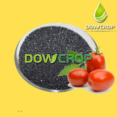 China DOWCROP HOT SALE HIGH QUALITY POTASSIUM HUMATE FLAKES BLACK FLAKES 100% WATER SOLUBLE FERTILIZER ORGANIC supplier