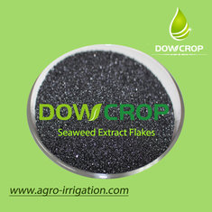 China SEAWEED EXTRACT  FLAKES DOWCROP HIGH QUALITY HOT SALE Dark Brown Flakes 100% water soluble fertilizer organic fertilizer supplier