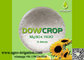 DOWCROP HIGH QUALITY 100% WATER SOLUBLE HEPTA SULPHATE MAGNESIUM 99.5% WHITE 3-4MM CRYSTAL MICRO NUTRIENTS FERTILIZER supplier