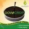 DOWCROP Hot Sale  High Quality Amino Acid fertilizer Dark Brown Liquid 100% Organic fertilizer PLANT ORIGINAL AMINO ACID supplier