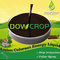 DOWCROP Hot Sale High Quality COLOURANT ENERGY  POLYPEPTIDE AMINO LQUID Organic fertilizer PLANT ORIGINAL AMINO ACID supplier