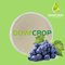 DOWCROP  High Quality AMINO ACID CHELATED CALCIUM Milk Yellow Powder 100% water soluble Hot Sale Organic fertilizer supplier