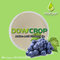 DOWCROP  High Quality AMINO ACID CHELATED CALCIUM Milk Yellow Powder 100% water soluble Hot Sale Organic fertilizer supplier