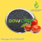 DOWCROP HIGH QUALITY HOT SALE POTASSIUM HUMATE  FLAKES BLACK FLAKES 100% WATER SOLUBLE FLAKES ORGANIC FERTILIZER supplier