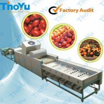 China Orange sorting machine sort machine of orange size&amp;weight supplier