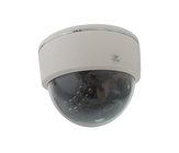 1080P Low lux Plastic Housing Day & Night Indoor IP Dome Camera DR-IP1021