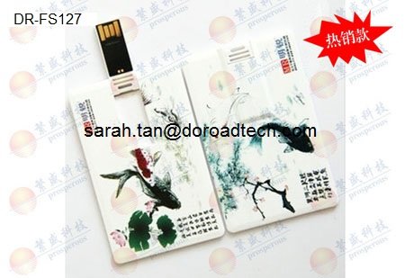 Personalized Plastic Credit Card USB Flash Drives with Colorful Printing