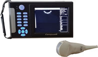 Read-time Veterinary B-ultrasound scanner EW-B10V with micro-convex probe for scanning abdomen of small animals