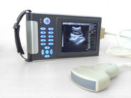 Portable Ultrasound Scanner Veterinary Pregnancy EW-B10V with convex probe for Small & Large Animals