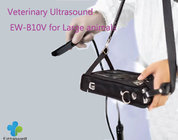 Rectal ultrasound-Testing pregnancy for big animals Veterinary handheld ultrasound scanner EW-B10V with Rectal probe