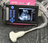 Cheapest Veterinary ultrasound scanner EW-B10V with Convex probe C3.5R60 for Abdominal and reproduction
