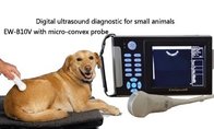 Handheld Veterinary ultrasound scanner EW-B10V with Micro-Convex probe C5R10 for abdominal, cardiac and reproduction of