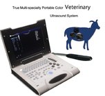 Rectal ultrasound Popular Laptop ultrasound scanner color doppler EW-C8V with Rectal probe LV7.5/60 for veterinary pregn