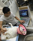 New arriveal- 15 inch Laptop Veterinary Color Doppler Ultrasound Diagnostic System EW-C15V with linear probe