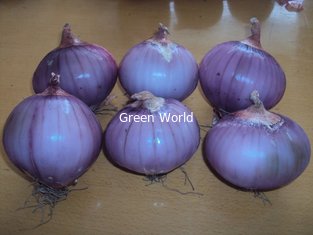 New Crop Red Onion Fresh Red Onion Organic Onion 2016 China Onion