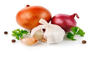 China Fresh Red Onion Organic Products