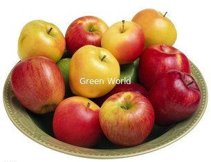 New Crop Fresh Natural Red and Green Color Apple Fuji Variety