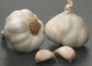 2016 fresh normal white garlic