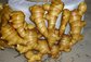 2016 New Crop China Quality High Fresh Organic Ginger Yellow Natural
