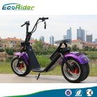EEC/CE/Rohs Certification 1000W 25km/h Two Wheel Electric Scooter Ebike newest Ecorider scooter for Adult