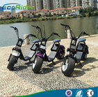 EEC/CE/Rohs Certification 1000W 25km/h Two Wheel Electric Scooter Ebike newest Ecorider scooter for Adult
