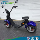 EcoRider 1200W 50KM Range 2 Wheel Electric Scooter with Front Suspension for Adult