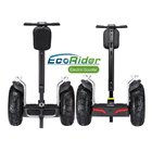 Double Battery Brushless Motor Two Wheeled Electric Scooter Segway Electric Scooter
