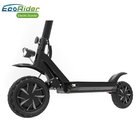 EcoRider E4-9 2 wheeled 2000w 3600w dual motor electric scooter,better Dualtron II Limited Fast Scooter