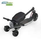 EcoRider 250W Max Speed 25km/h Street Use 3 Wheel Foldable Electric Scooter