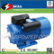 Y series 220V induction electric motor supplier