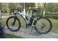 High End 26 inch MTB Electric Bike With Front TGS Alloy Shock Absorber supplier