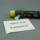 ERIKC delphi injector F50001112100011 original YUCHAI fuel rail injector F5000-1112100-011