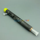 ERIKC fuel delphi EJBR02601Z diesel injector parts A6650170121 auto injector R02601Z / 2601Z for SSANGYONG