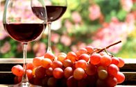 grape wine equipment