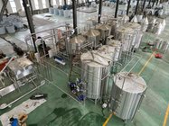 20HL 10HL Automatic Brewing System for Commercial Brewery