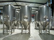 beer fermentation tank and beer fermenter for fermenting and brewing