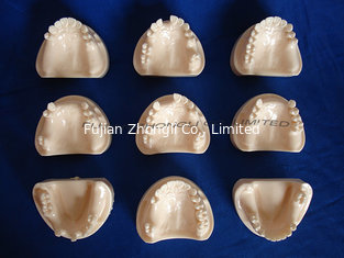 China dental model for partial denture restorative supplier