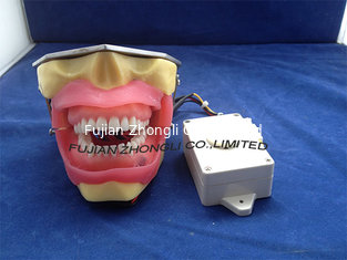 China Conduction Anesthesia Model for practice extract and anesthesia supplier
