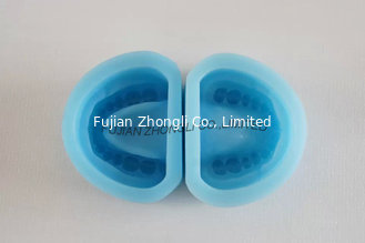 China Cheap Durable Dental Plaster Model Mold for Dentist supplier