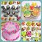 Cake Decorating Tips Set Polished Smooth No Seams - Icing Tips Frosting Tips Pastry Tips supplier