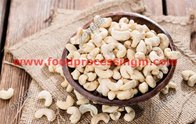 cashew nut process line| cashew nut roasting machine|cashew nut frying machine|cashew nut coating machine